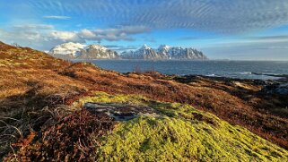 Vestvagøya - Lofoten